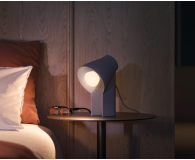 Philips Hue White ambiance Inteligentna Żarówka 2xE27 800lm 8719514328242 - 693571 - zdjęcie 6
